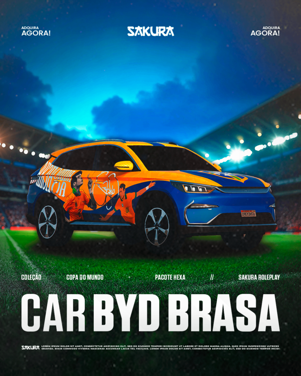 ⚽ VIP BYD BRASIL